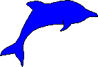 �C��