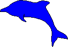 �C��