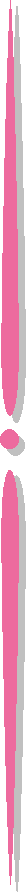 �g