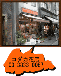 R_JԓX^03-3833-0087